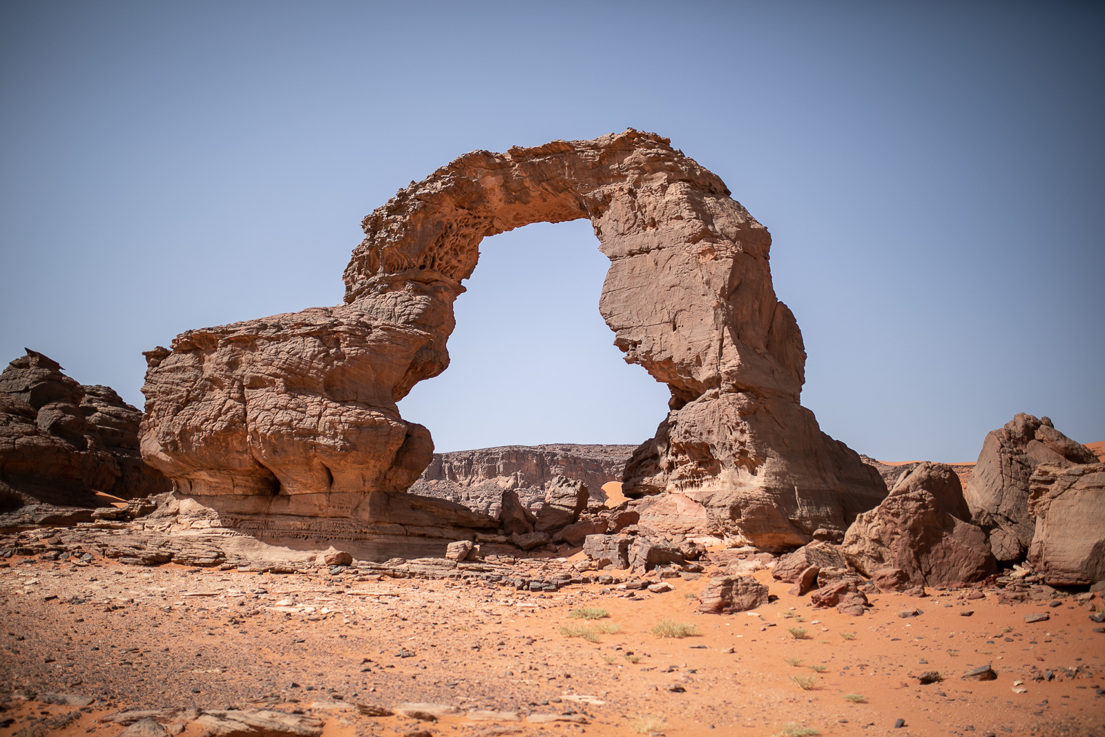 Human & Nature  outoftime 72